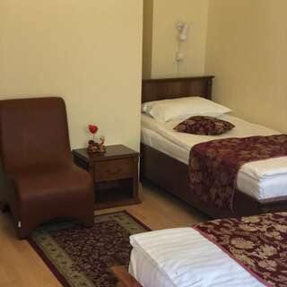 Отель Hotel Transilvania Клуж-Напока Бюджетный двухместный номер с 2 отдельными кроватями-10