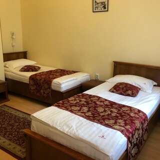 Отель Hotel Transilvania Клуж-Напока Бюджетный двухместный номер с 2 отдельными кроватями-11