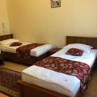 Отель Hotel Transilvania Клуж-Напока Бюджетный двухместный номер с 2 отдельными кроватями-14